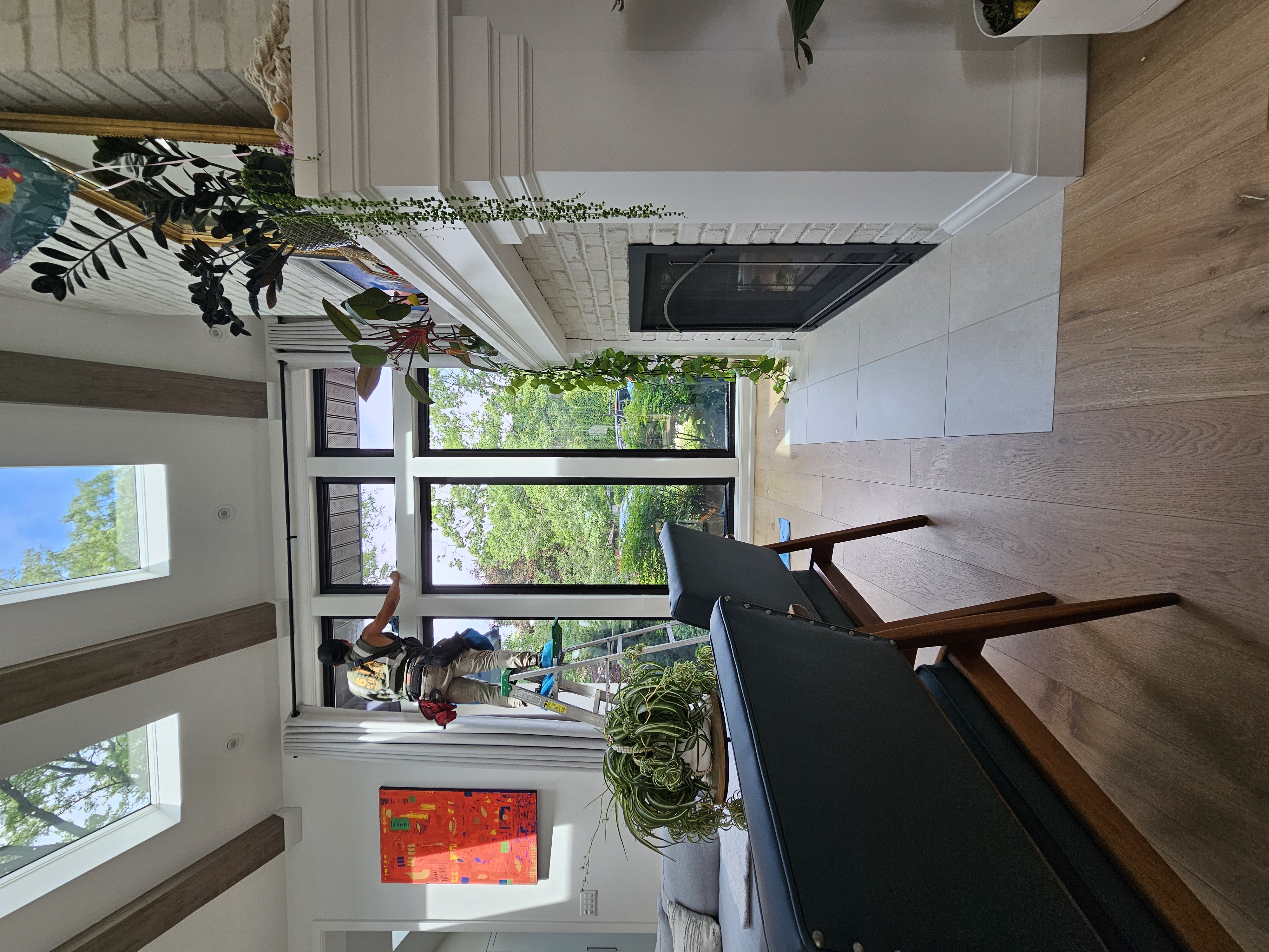 Summer Window Cleaning