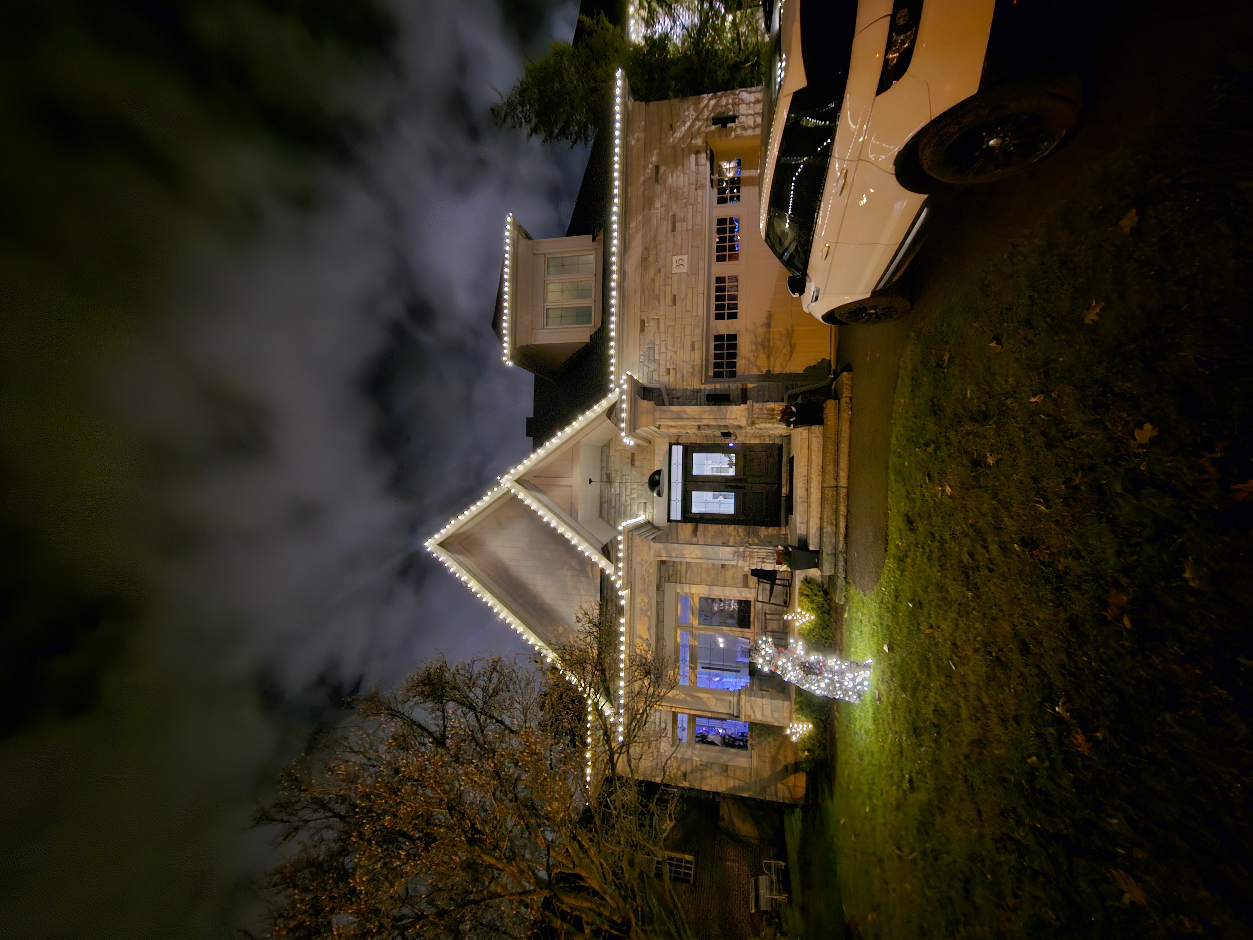 Elegant Holiday Lighting