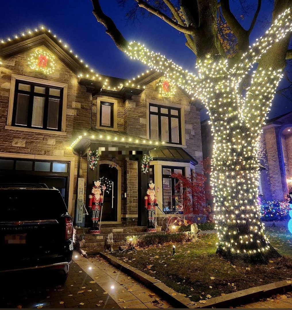 Commercial Christmas Lighting